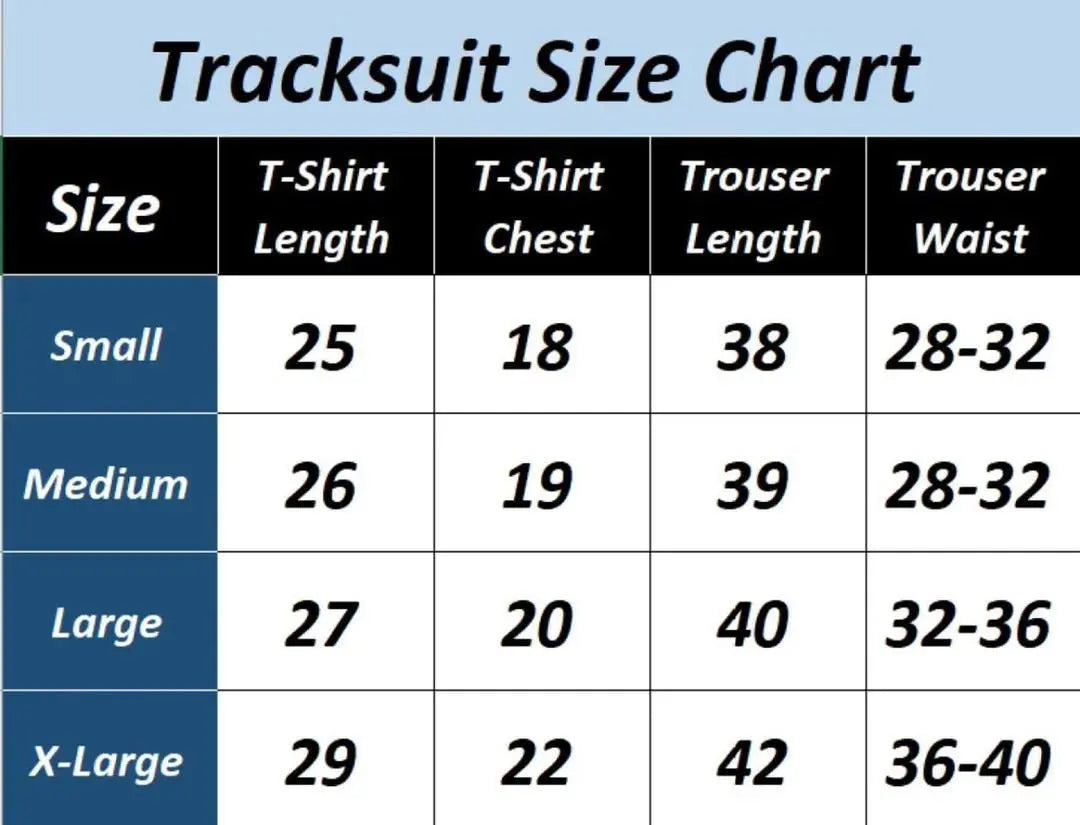 New Stylish n Premium Lion Printed Tracksuit - JELLA